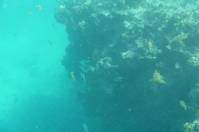 P1000535.JPG