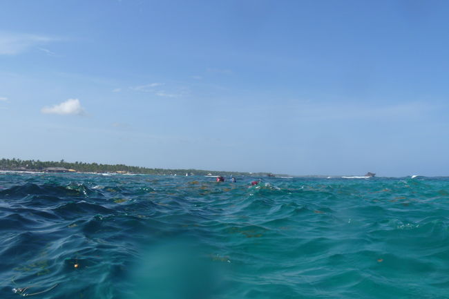 P1000537.JPG