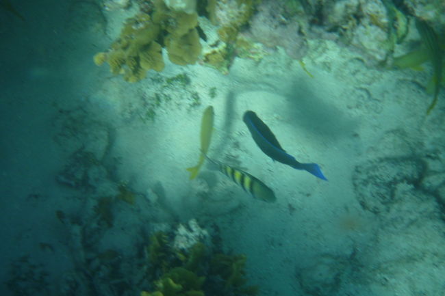 P1000543.JPG