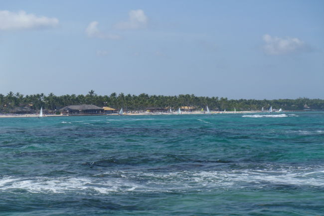 P1000554.JPG