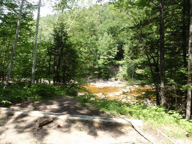 P7010040.JPG