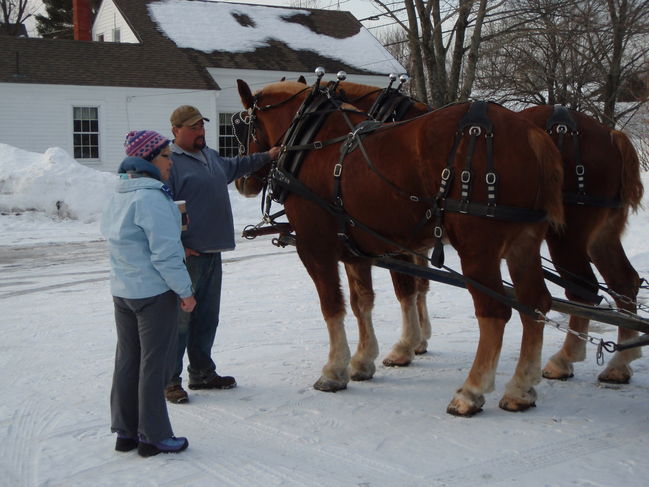 SleighRide2011_004.JPG