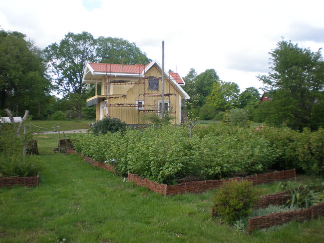 P5200421.JPG