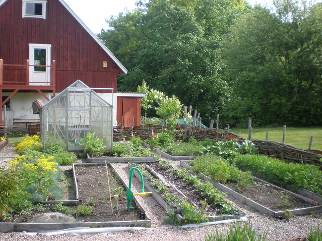 P5200422.JPG