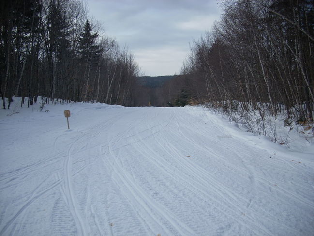 DSCN1044.JPG