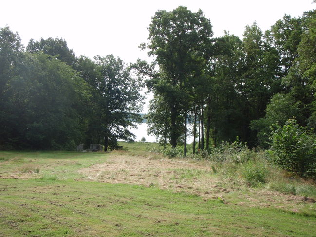 P8020011.JPG
