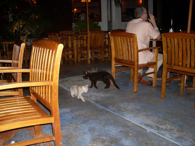 DSCN0008.JPG