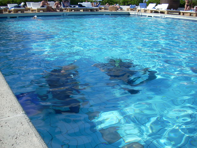 DSCN0034.JPG
