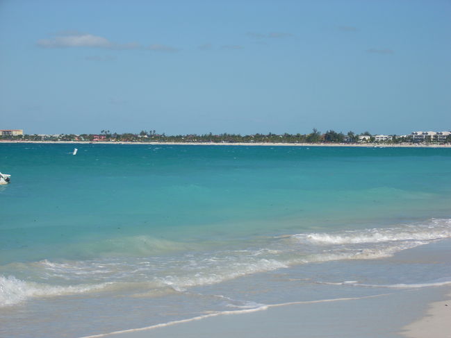 DSCN0084.JPG