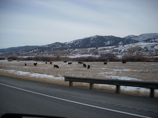 Utah2009 029.jpg