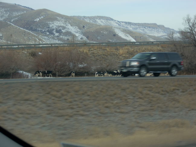 Utah2009 030.jpg