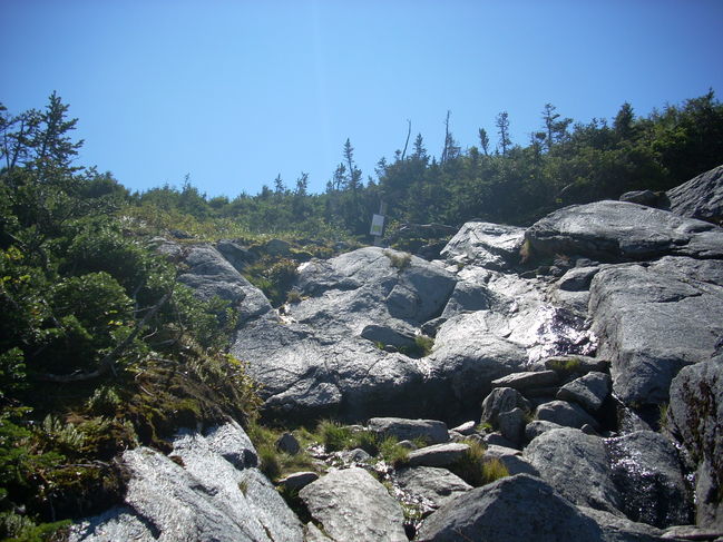 DSCN0586.JPG