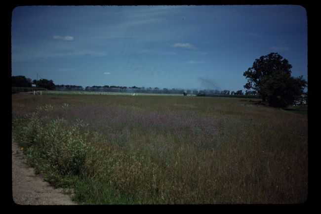 F_A_MN_0007.JPG