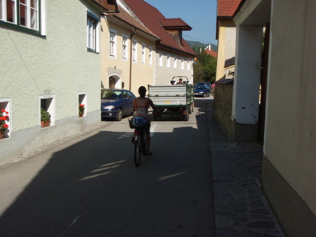 Behind wine grapes in Wachau wine region
